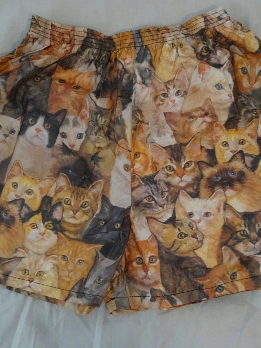 Animal Print PRIDE Cute Kittens Cat Strech Shorts Tyvek Trunks Sz S M L XL